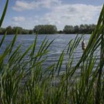 Conningbrook Lakes in Ashford seeks partners for exciting future