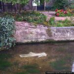 Shakespeare-inspired underwater sculpture ‘Alluvia’ lights up Canterbury’s River Stour!